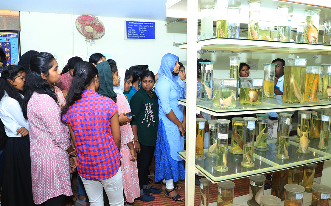 Marine Museum Visit at CMFRI Tuticorin