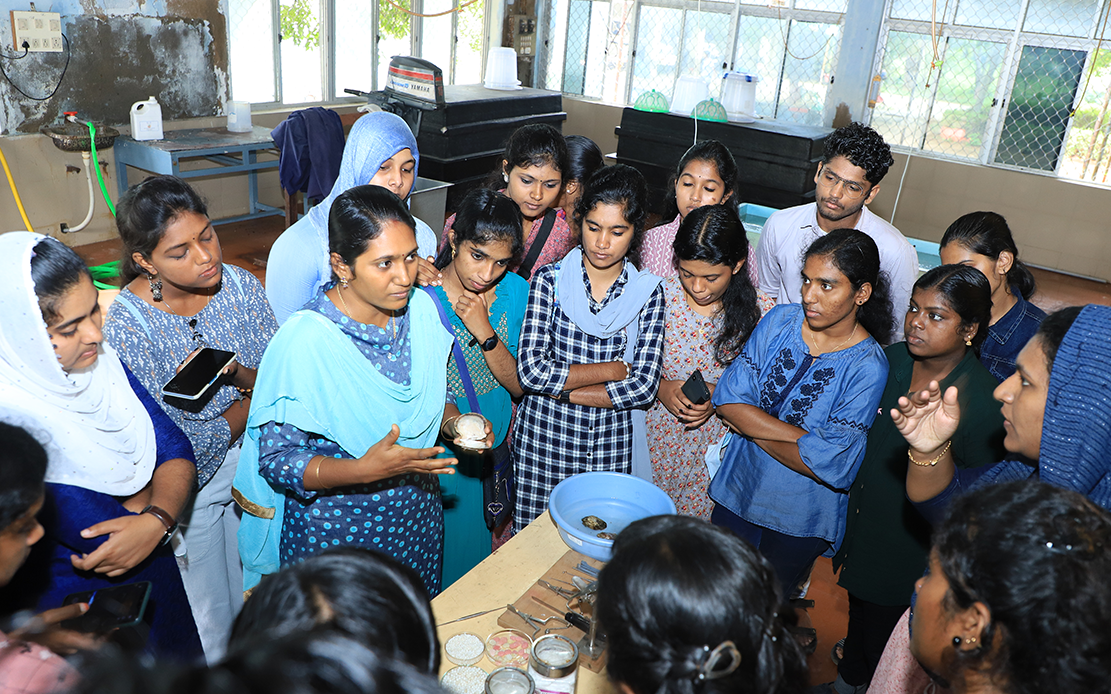 Study of Pearl Culture Techniques at CMFRI