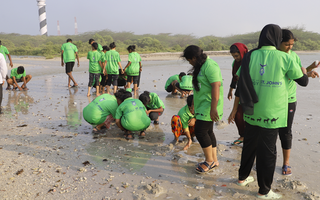 Marine Animal Collections at Gulf of Mannar biosphere reserve