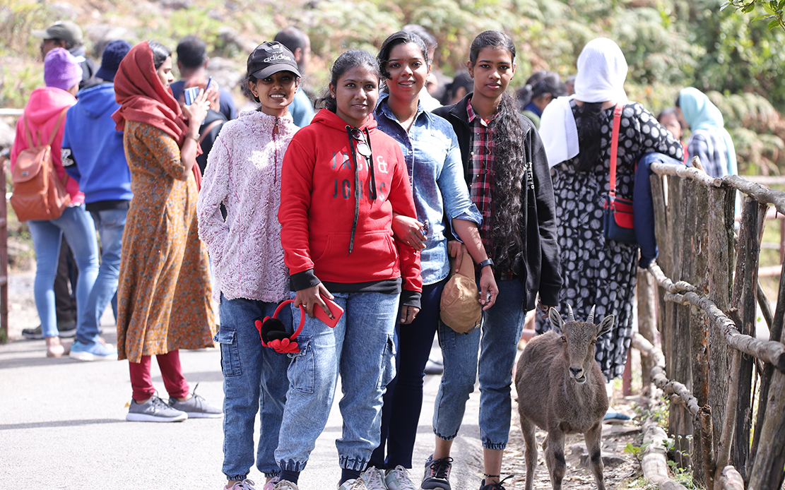 Study of Endangered Nilgiri Tahr