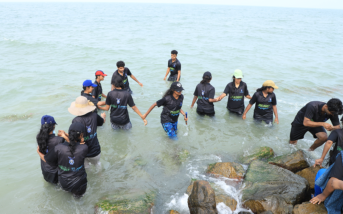 Rocky Shore Marine Studies